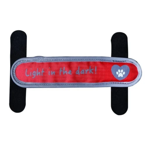 Bande lumineuse de sécurité pour chien rechargeable