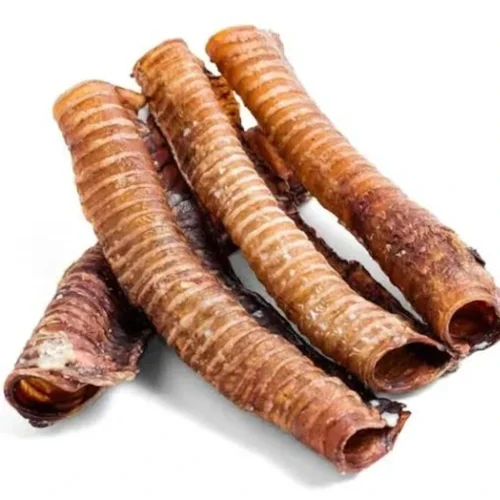 Friandise de trachée de bœuf 30 cm pour chien