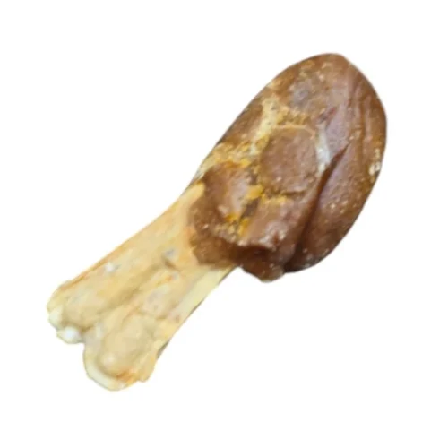 Ailes de poulet croustillantes pour chien Bubimex