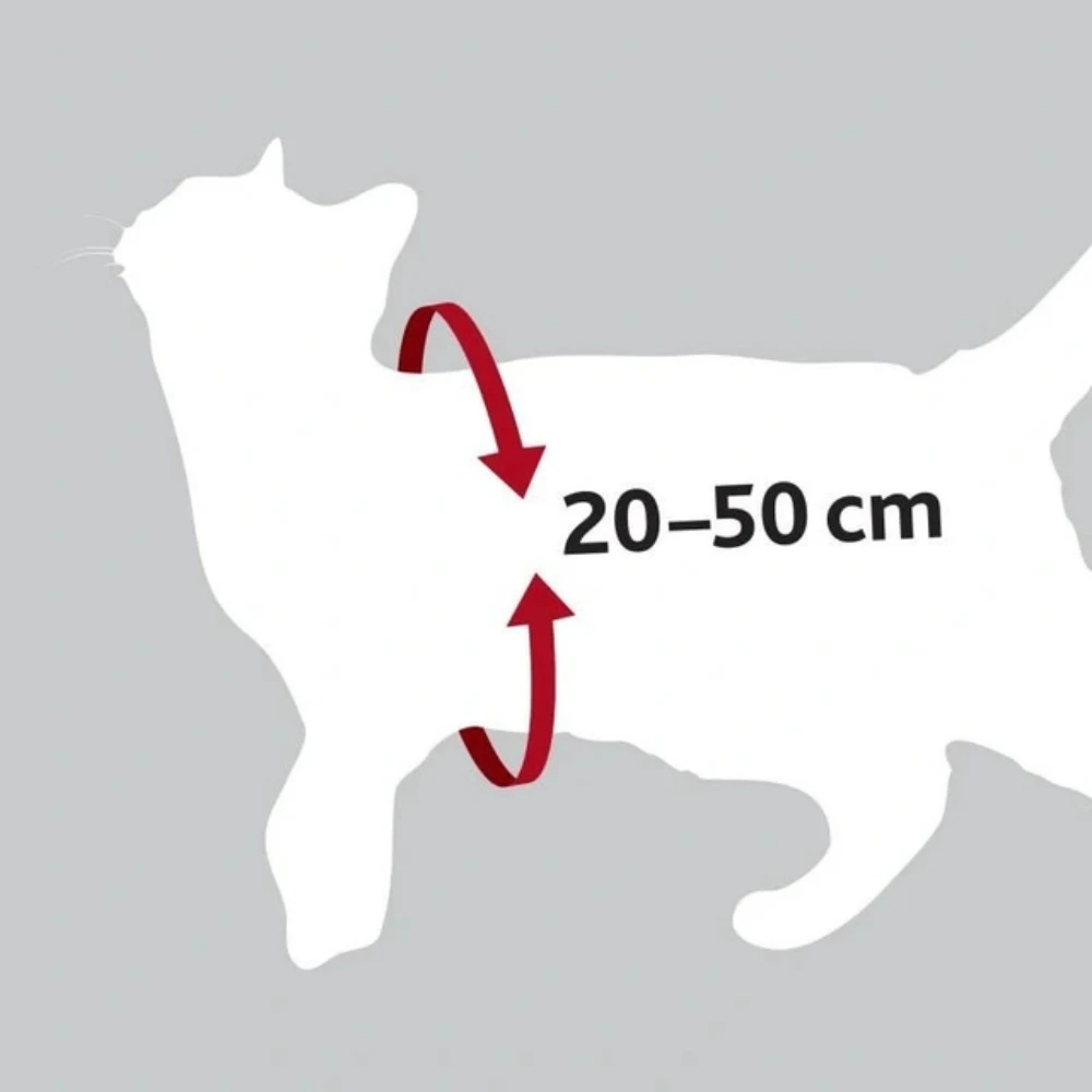 Harnais voiture chat Trixie – Sécurité et confort en trajet – Image 2