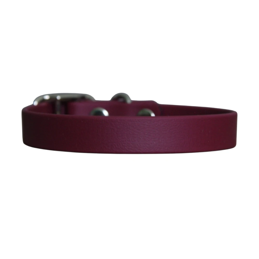 Collier pour chien personnalisé Nox 16mm