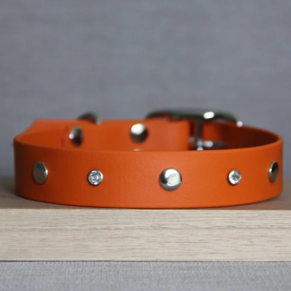 Collier pour chien Biothane Joy 25mm