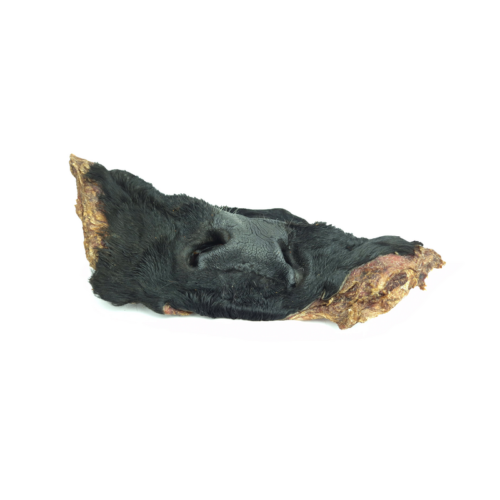 Museau de bœuf avec poils pour chien – Friandise naturelle à mâcher