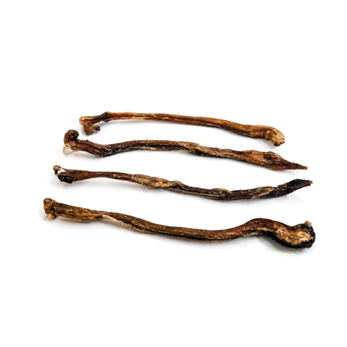 Nerf d'agneau pour chien – Friandise naturelle à mâcher