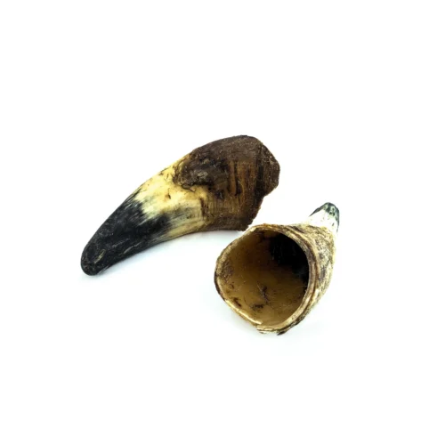 Corne de bœuf vide pour chien – Friandise naturelle à mâcher