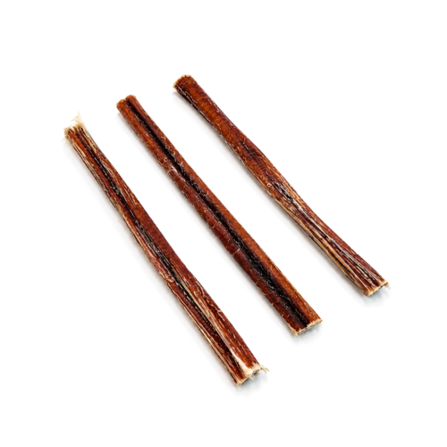 Nerf de boeuf 25cm pour chien – Friandise naturelle à mâcher