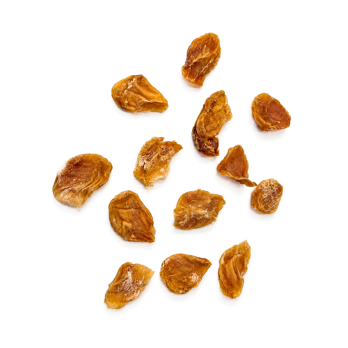 Noix de saint-jacques pour chien – Friandise naturelle d'éducation