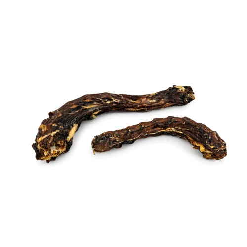 Cous de canard pour chien – Friandise naturelle à mâcher