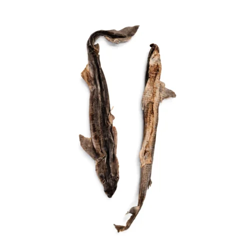 Aiguillat commun xl pour chien