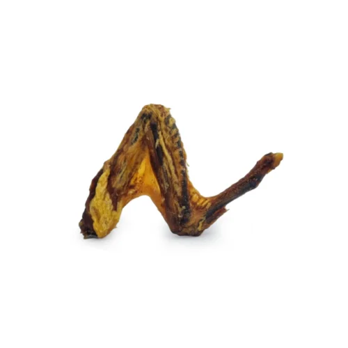 Ailes de canard pour chien