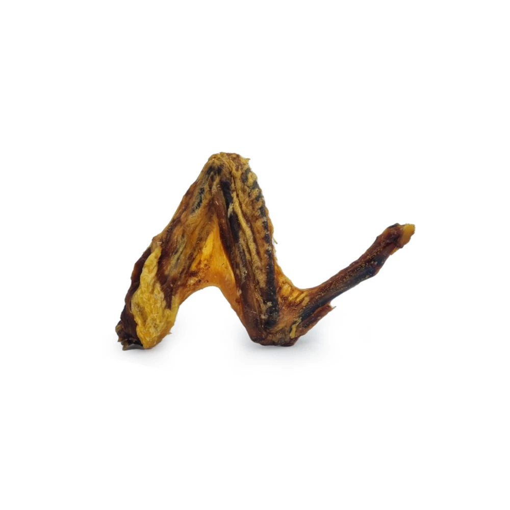 Ailes de canard pour chien