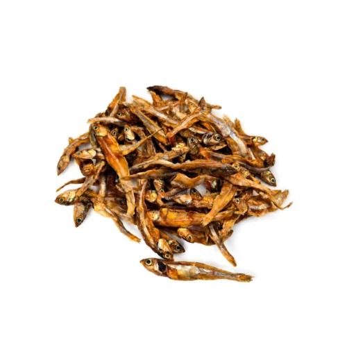 Anchois pour chien et chat