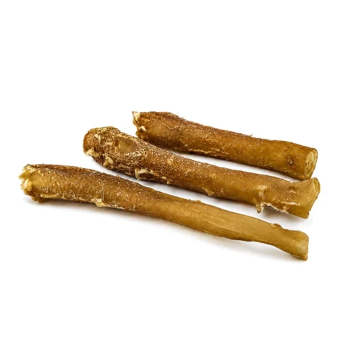Aorte de bœuf pour chien