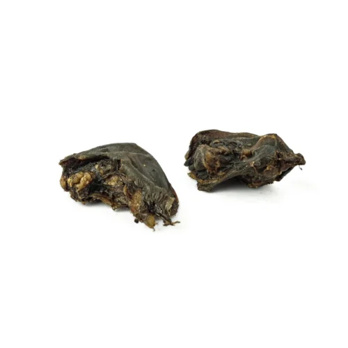 Base oreille de boeuf pour chien