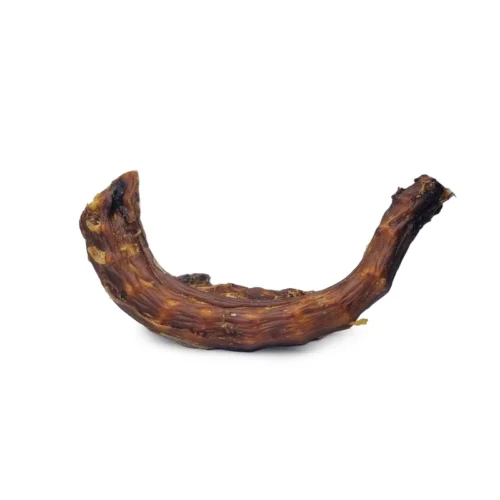 Cous de dinde pour chien – Friandise naturelle à mâcher