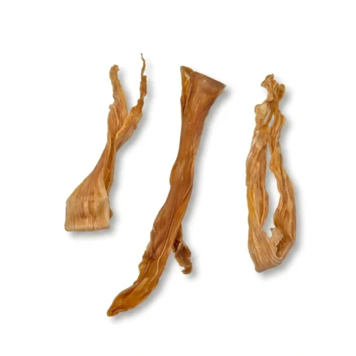 Calamar pour chien – Friandise naturelle à mâcher