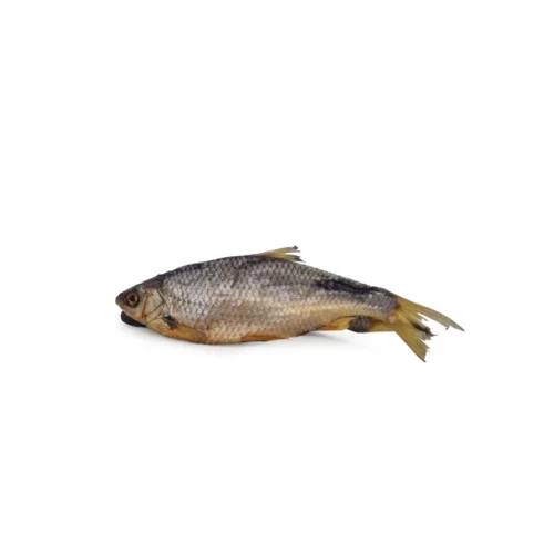 Gardon pour chien – Friandise naturelle à mâcher