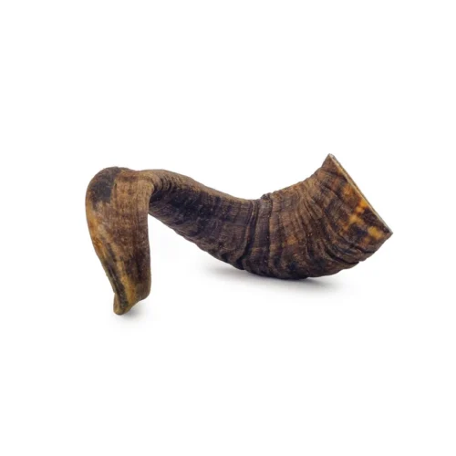 Corne de mouton pour chien – Friandise naturelle à mâcher