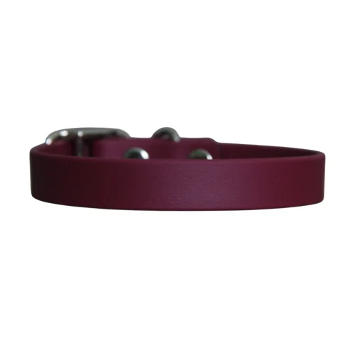 Collier pour chien personnalisé Nox 16mm