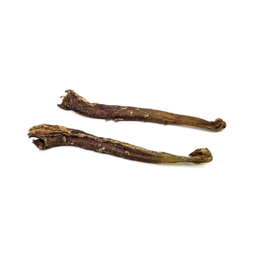 Aorte de buffle pour chien