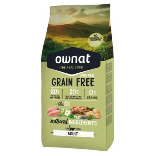 Alimentation chat adulte saine et naturelle
